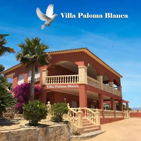 Paloma Blanca شقة البير